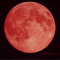 Robert M Moon