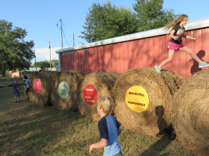 hay-bales1-citizenship-GaylePoole