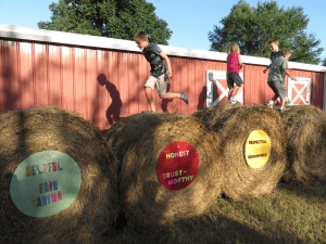 hay-bales2-citizenship-GaylePoole