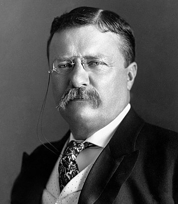 Pres. Theodore Roosevelt in 1904. He influenced Pres. Woodrow Wilson & other progressives to follow. All three 1912 Democratic presidential election candidates claimed to be progressives.