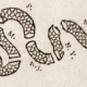 Benjamin Franklin’s editorial cartoon entitled “Join or Die” depicting protection and unity of the colonies, May 9, 1754, Pennsylvania Gazette