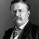 Pres. Theodore Roosevelt in 1904. He influenced Pres. Woodrow Wilson & other progressives to follow. All three 1912 Democratic presidential election candidates claimed to be progressives.